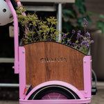 Chanty Cargo Kid – Pink